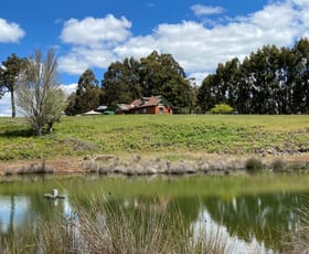 Rural / Farming commercial property sold at 32 Balbarrup Road (Dingup) Manjimup WA 6258