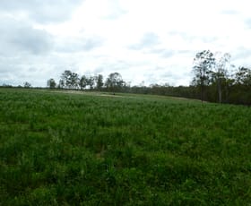 Rural / Farming commercial property sold at Promisedland QLD 4660