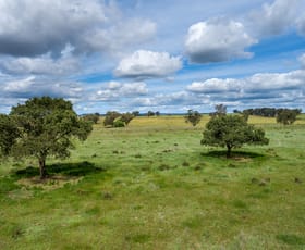 Rural / Farming commercial property sold at 75 Jobs Road Yeoval NSW 2868
