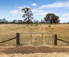 Rural / Farming commercial property sold at Lot 3 Stewart Road Eppalock VIC 3551