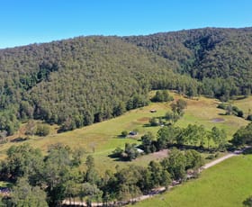 Rural / Farming commercial property sold at Lot 11 743 Upper Myall Road Warranulla NSW 2423