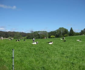 Rural / Farming commercial property sold at 139 Fabers Road Riana TAS 7316