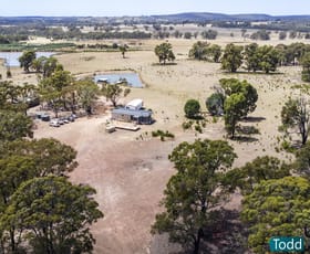 Rural / Farming commercial property sold at 117 Lewis Road Heathcote VIC 3523