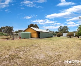 Rural / Farming commercial property for sale at 16 Haylocks Road Harrow VIC 3317