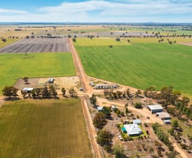 Rural / Farming commercial property sold at "Courtines, Windmere & Baileys" BAILEYS ROAD Oaklands NSW 2646