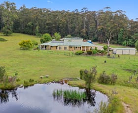 Rural / Farming commercial property for sale at 355 Forest Road Labertouche VIC 3816