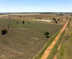 Rural / Farming commercial property sold at PT GOODENOUGH 716 Acres Ungarie NSW 2669