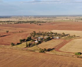 Rural / Farming commercial property sold at 'Tarrallie' 864 Muffets Rd Forbes NSW 2871