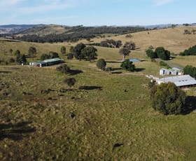 Rural / Farming commercial property sold at "Kyamba" 2491 Taylors Flat Road Taylors Flat NSW 2586