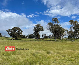 Rural / Farming commercial property sold at Lot 244 Teasdale Road Neville NSW 2799