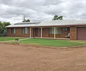 Rural / Farming commercial property sold at 80 Nellie Vale Rd Narromine NSW 2821