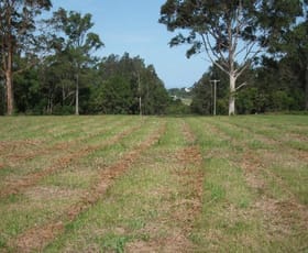 Rural / Farming commercial property sold at Diamond Beach NSW 2430