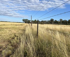 Rural / Farming commercial property sold at 964 "Werona" Kerriwah Rd Tullamore NSW 2874
