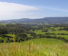 Rural / Farming commercial property for sale at 162 North Curramore Road Jamberoo NSW 2533