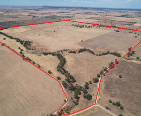 Rural / Farming commercial property sold at School Road Richmond Plains VIC 3518