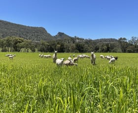 Rural / Farming commercial property sold at 21 Giants Creek Road Sandy Hollow NSW 2333