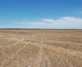 Rural / Farming commercial property sold at 3636 ROLLOND ROAD Lort River WA 6447
