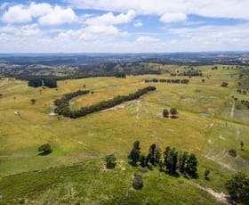 Rural / Farming commercial property sold at Lot 101 Hill End Road Hill End NSW 2850