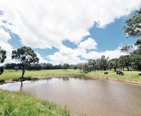 Rural / Farming commercial property sold at lot/116 Cronin Road Cabarlah QLD 4352