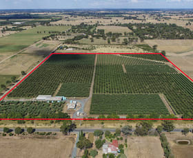 Rural / Farming commercial property for sale at 970 Byrneside - Kyabram Road Merrigum VIC 3618