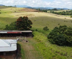 Rural / Farming commercial property sold at Camp Creek QLD 4871