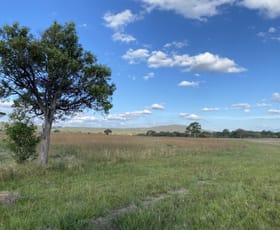 Rural / Farming commercial property sold at 65 Silver Lane Boro NSW 2622