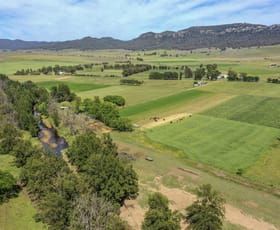 Rural / Farming commercial property sold at 669 Martindale Rd Denman NSW 2328