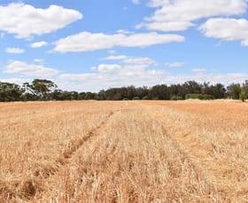 Rural / Farming commercial property sold at ' Baileys ' Woodanilling WA 6316