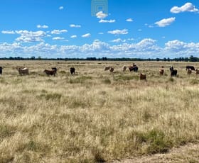 Rural / Farming commercial property sold at 265 Hulls Road Wee Waa NSW 2388