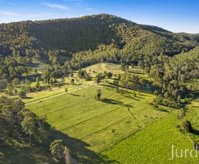 Rural / Farming commercial property sold at 42 Lewis Lane Millfield NSW 2325