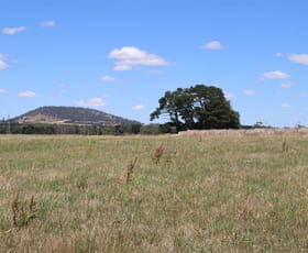 Rural / Farming commercial property sold at 560 Ballarat-Daylesford Road Pootilla VIC 3352