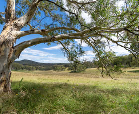 Rural / Farming commercial property sold at Lot 10 Wallerawang Rydal Road Mount Lambie NSW 2790