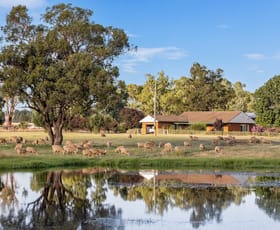 Rural / Farming commercial property sold at 2007 Sturt Highway Collingullie NSW 2650