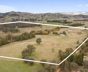 Rural / Farming commercial property for sale at 768 North Creek Road Ancona VIC 3715