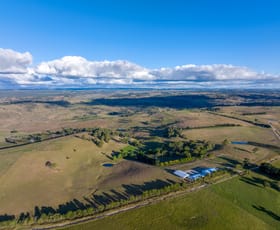 Rural / Farming commercial property sold at 466 Levels Road Golspie NSW 2580