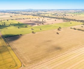 Rural / Farming commercial property sold at Hopefield Road Hopefield NSW 2646