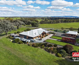 Rural / Farming commercial property sold at 1263 Sutton Grange - Redesdale Road Sutton Grange VIC 3448