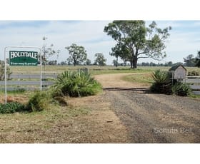 Rural / Farming commercial property sold at . Hollydale Trangie NSW 2823