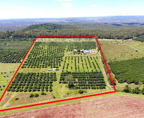 Rural / Farming commercial property for sale at 71 Mount Binga Road Mount Binga QLD 4314