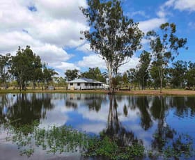 Rural / Farming commercial property sold at 196 Ducklo- Gulera Road Ducklo QLD 4405