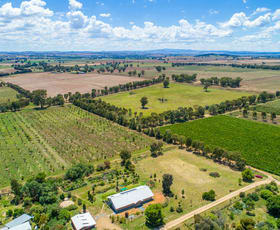 Rural / Farming commercial property sold at "Brindabella" 22/444 Rivers Road Canowindra NSW 2804