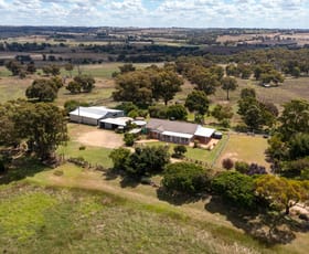 Rural / Farming commercial property sold at 834 Henry Lawson Way Young NSW 2594