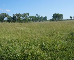 Rural / Farming commercial property sold at Brookdale Station Pentland QLD 4816