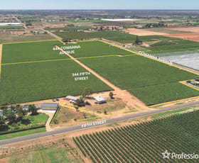 Rural / Farming commercial property for sale at 344 Fifth Street & 444 Cowanna Avenue Merbein VIC 3505