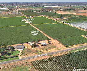 Rural / Farming commercial property for sale at 344 Fifth Street & 444 Cowanna Avenue Merbein VIC 3505