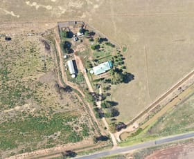 Rural / Farming commercial property sold at 74 PINE LODGE ROAD Tocumwal NSW 2714