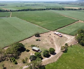 Rural / Farming commercial property sold at 215 Sarri Road Mount Surround QLD 4809