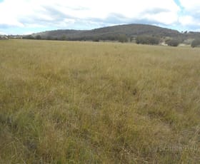 Rural / Farming commercial property sold at Emmaville NSW 2371