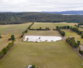 Rural / Farming commercial property sold at . West Tamar Highway Loira TAS 7275