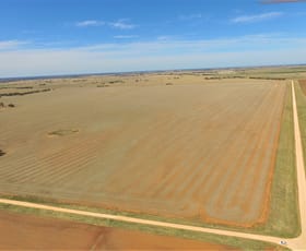 Rural / Farming commercial property sold at Old Charlton-Boort Road Wychitella North VIC 3525